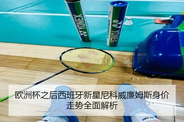 欧洲杯之后西班牙新星尼科威廉姆斯身价走势全面解析