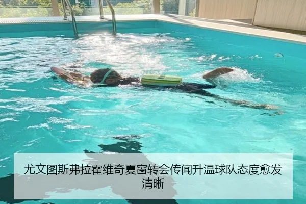 尤文图斯弗拉霍维奇夏窗转会传闻升温球队态度愈发清晰